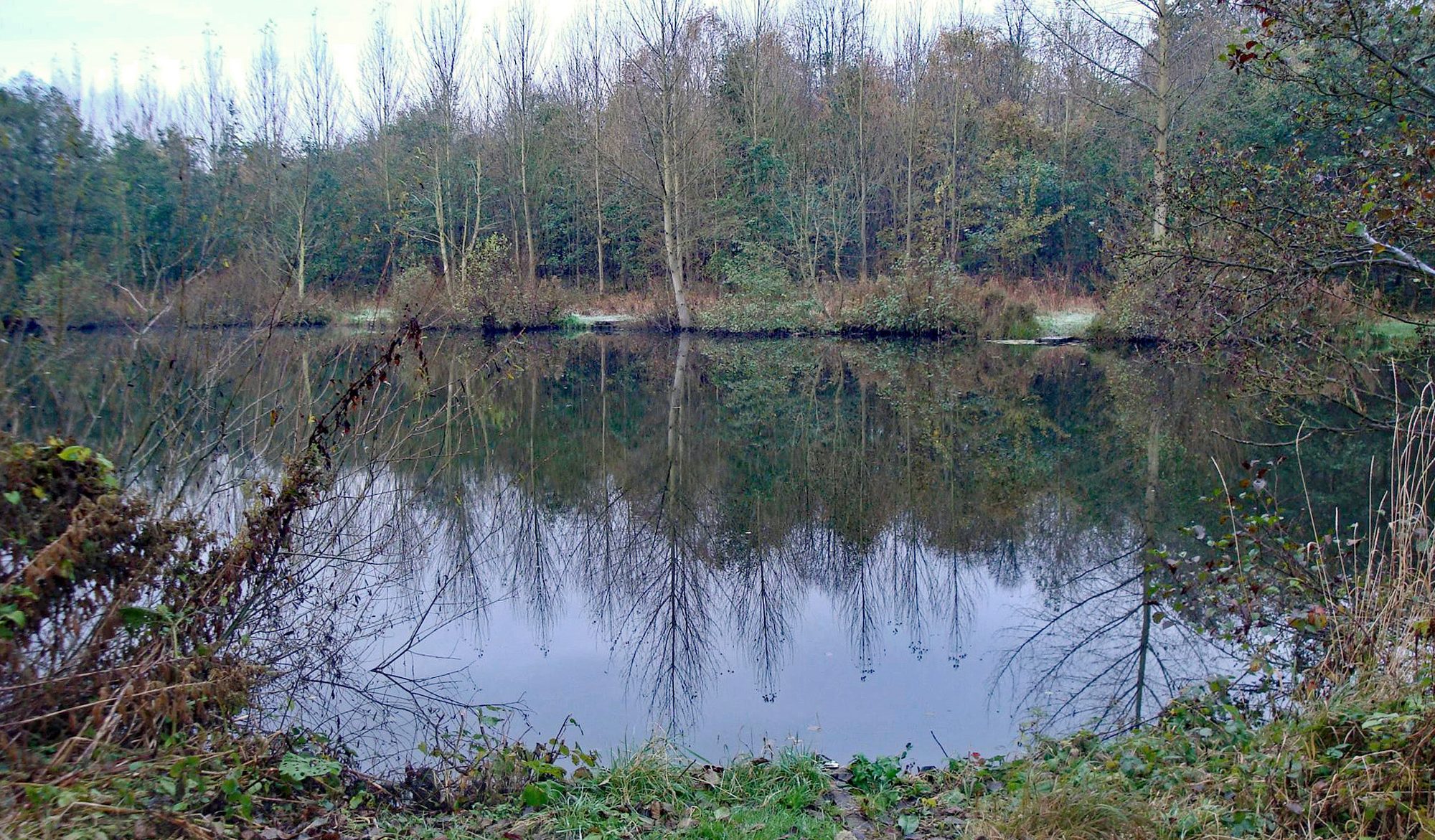 Wyver Lane Pond, Belper, Derbyshire