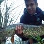 Jonah-Cooper_Pike_Derwent_2017-12_01