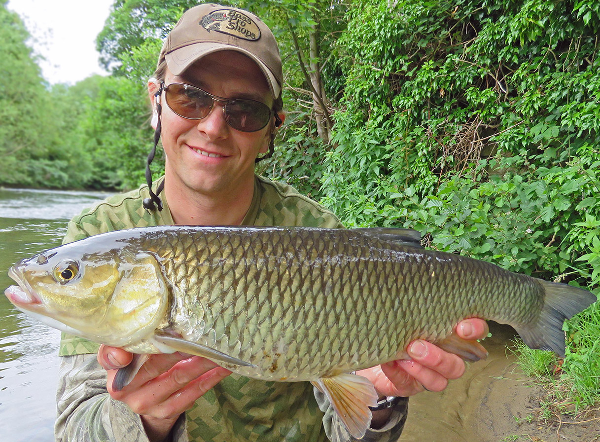 Specimen chub caught from the River Derwent at Belper