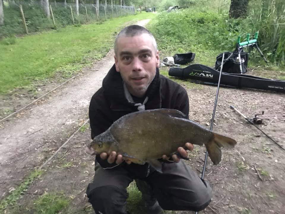 Bream - Wyver Lane Pond Belper