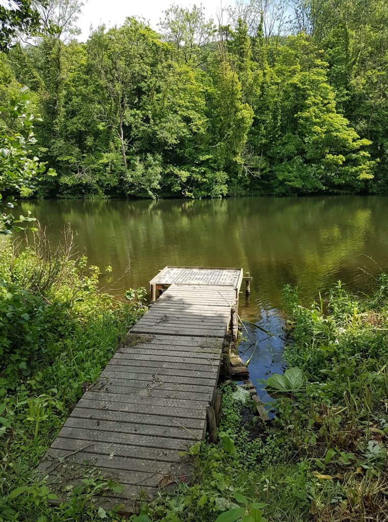 Belper River Derwent match fishing results