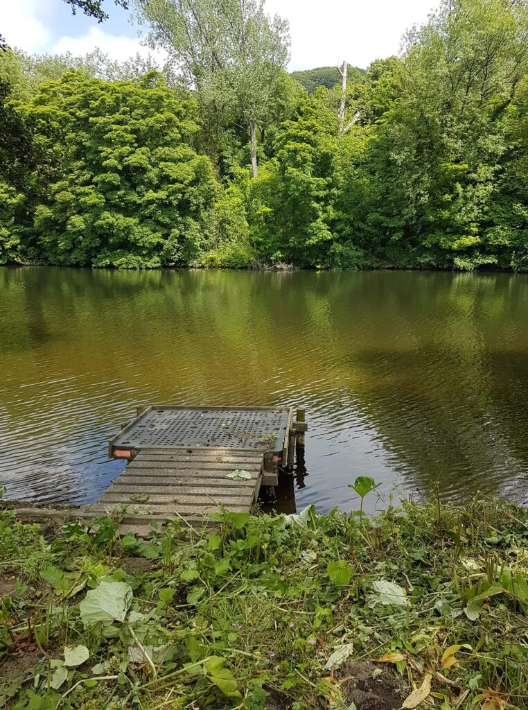 Match fishing River Derwent