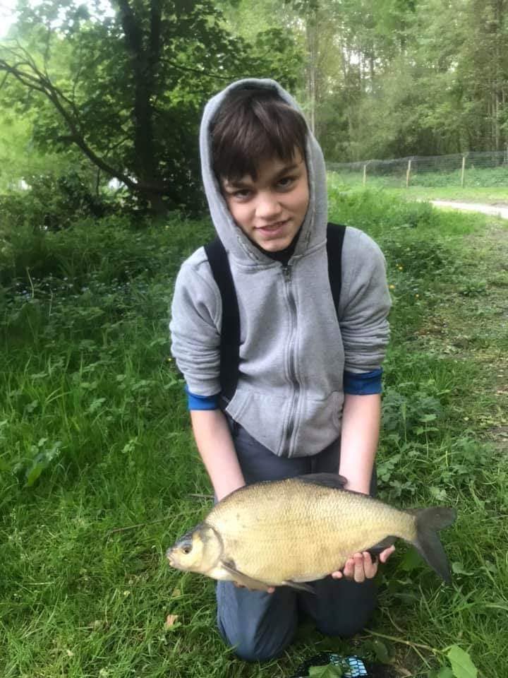 Skimmer bream - Wyver Lane Pond Belper